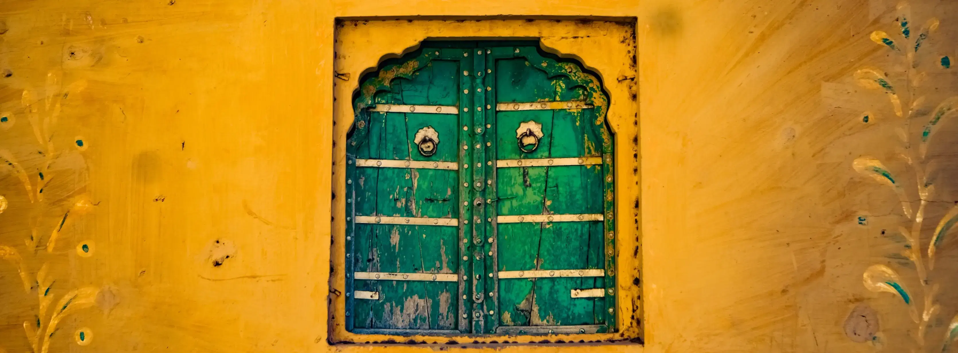 Dr. Aditya's background banner